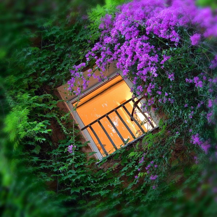 Bio Hotel Raphael - Relais & Chateaux Rome Bagian luar foto
